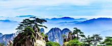 白鹅岭2