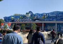 溱湖海昌海洋馆16