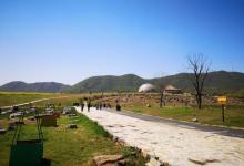 半汤郁金香高地景区3