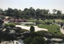 瘦西湖赏花10