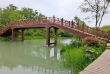 瘦西湖赏花7