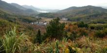 塔川古树林9