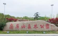 南屏山森林公园9