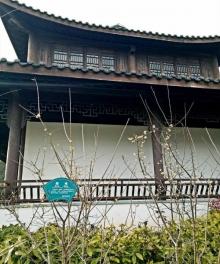 南屏山森林公园19