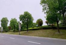 江苏大剧院25