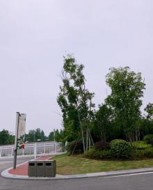 江苏大剧院18