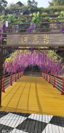 长山薰衣草彩虹小镇21