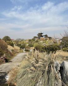 扬州运河三湾风景区20