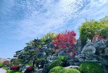 扬州运河三湾风景区26