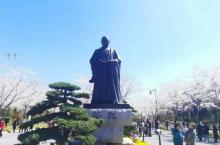 鉴真路樱花大道17