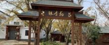 泰兴国家古银杏森林公园6
