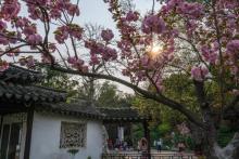 太平天国历史博物馆3