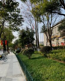 南京云锦博物馆8
