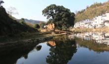 长溪村17