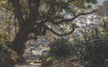 长溪村6