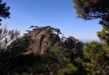 南清园景区16