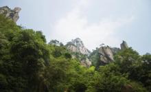 南清园景区15