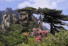 南清园景区17