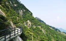 南清园景区10