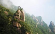 南清园景区7