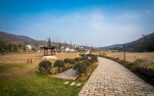 老山国家森林公园5