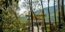 老山国家森林公园27