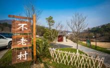 老山国家森林公园8