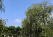 老山国家森林公园9