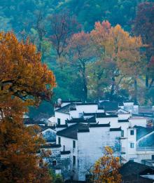 石城红枫叶景区2