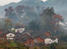 石城红枫叶景区4