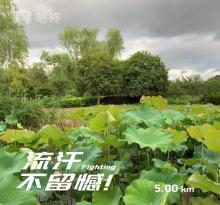 桃渚古城12