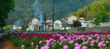 凤凰山景区15