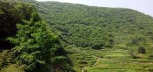 凤凰山景区14