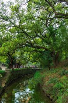 凤凰山景区1