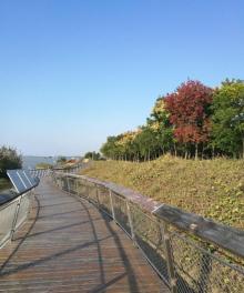 凤凰岛生态旅游区30