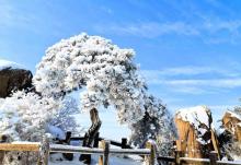 花台索道8