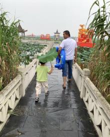 金湖荷花荡景区10