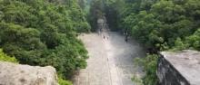 紫金山1