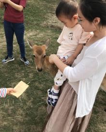 长生鹿苑16