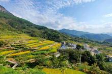上坦村21