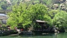 上坦村22