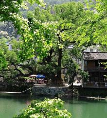 上坦村23