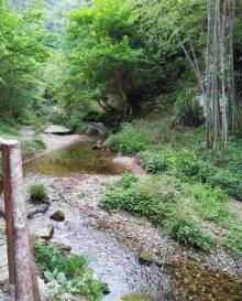 打鼓岭11