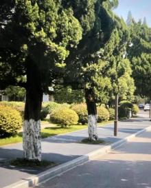 南京航空航天大学7