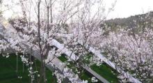 汤山矿坑公园6