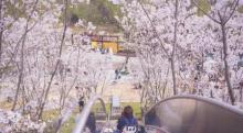 汤山矿坑公园2
