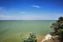 巢湖地区湿地5