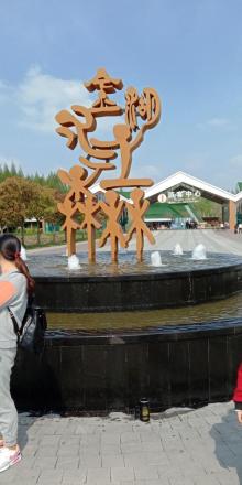 金湖水上森林景区16