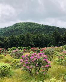 华顶国家森林公园19