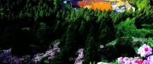 华顶国家森林公园6